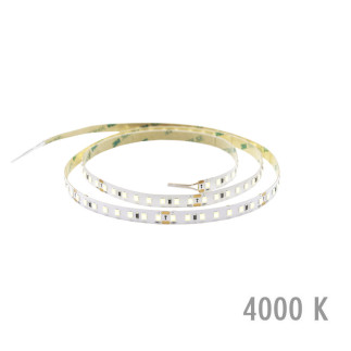Pro Lite 30 4K, IP20, 12W