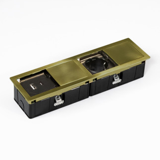 MONO-2+USB eluttag borstad guld
