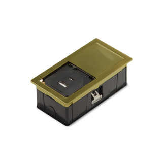 MONO-1 USB ellutag borstad guld