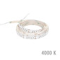 RIBBON 20-8, 20W, 4000K